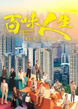 热播电视剧全集《雾港回声》高清在线观看